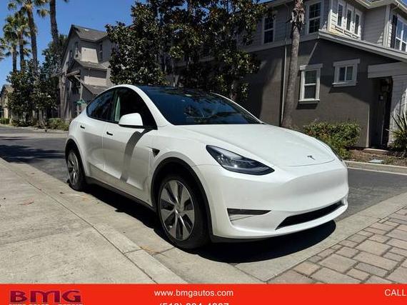 TESLA MODEL Y 2021 5YJYGDEE9MF242870 image